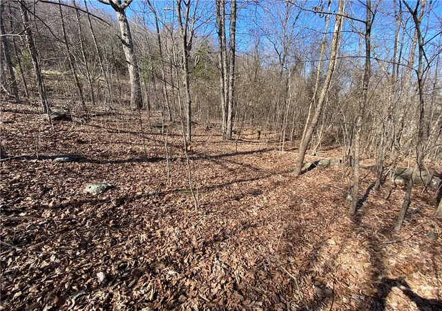 4th image of Nc 6020, Jasper, AR 72641 | MLS# 1340488