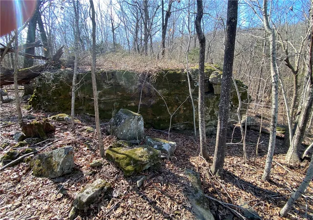5th image of Nc 6020, Jasper, AR 72641 | MLS# 1340488