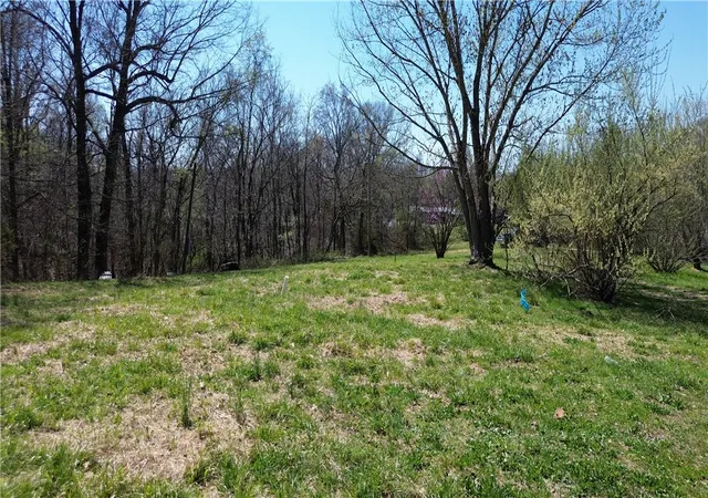 Homes for sale in Noel, MO | 15962 W Hwy 90, Noel, MO 64854 | MLS# 1340620