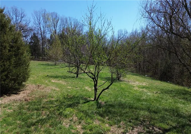 Homes for sale in Noel, MO | 15962 W Hwy 90, Noel, MO 64854 | MLS# 1340620