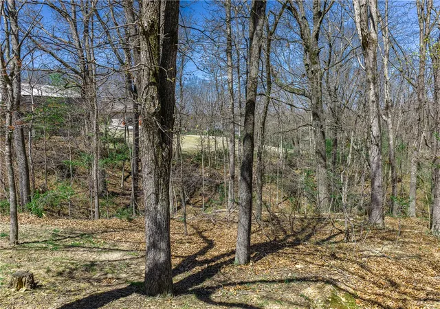Homes for sale in Bella Vista, AR | Lot 2 Askew Ln, Bella Vista, AR 72714 | MLS# 1340299