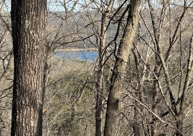 1st image of 190 Edgewater Dr, Eureka Springs, AR 72631 | MLS# 1341000