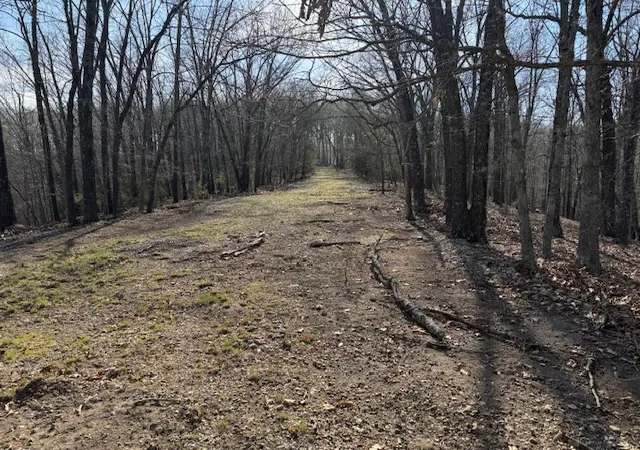 Photo 3 of Land for sale at 190 Edgewater Dr, Eureka Springs, AR 72631 | MLS# 1341000 | Listing updated on 2026-06-12
