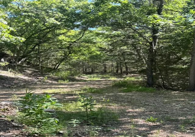 51st image of 190 Edgewater Dr, Eureka Springs, AR 72631 | MLS# 1341000