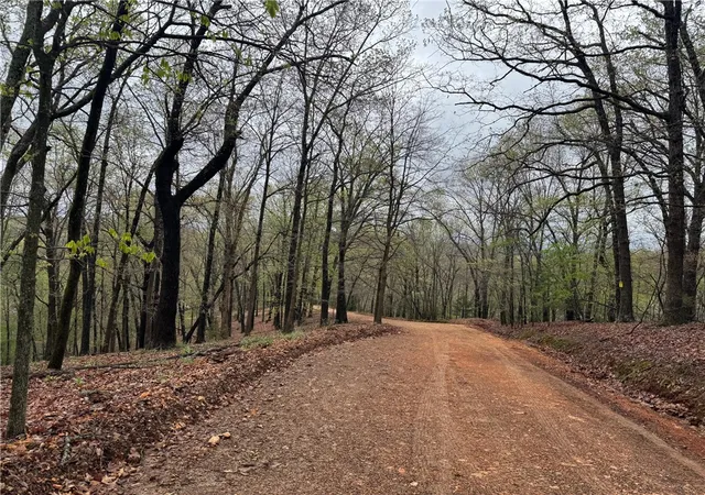 Photo 4 of Land for sale at 190 Edgewater Dr, Eureka Springs, AR 72631 | MLS# 1341000 | Listing updated on 2026-06-12