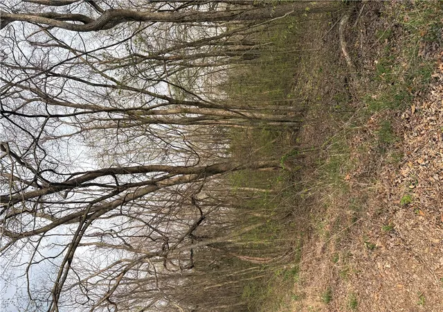 Photo 3 of Land for sale at Lots 169 170 171 Huckleberry Cir #7-RURBAN, Rogers, AR 72732 | MLS# 1341143 | Listing updated on 2026-04-01