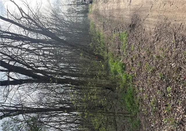 Photo 3 of Land for sale at Lots 169 170 171 Huckleberry Cir #7-RURBAN, Rogers, AR 72732 | MLS# 1341143 | Listing updated on 2026-04-01