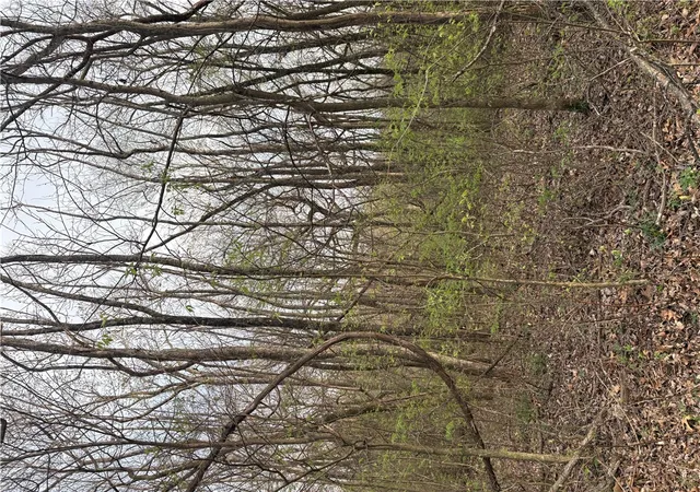 Photo 4 of Land for sale at Lots 169 170 171 Huckleberry Cir #7-RURBAN, Rogers, AR 72732 | MLS# 1341143 | Listing updated on 2026-04-01