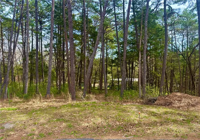 Homes for sale in Eureka Springs, AR | 17 Pine Crest Ln, Eureka Springs, AR 72632 | MLS# 1340905