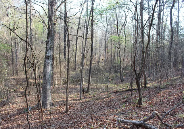 50th image of 159 Gray, Cleveland, AR 72030 | MLS# 1341396