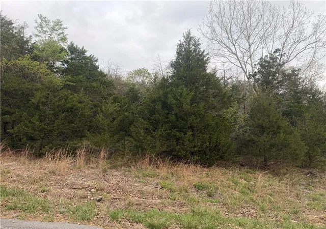 Photo 2 of Land for sale at Sailboat Dr #116, Holiday Island, AR 72631 | MLS# 1341285 | Listing updated on 2026-05-24