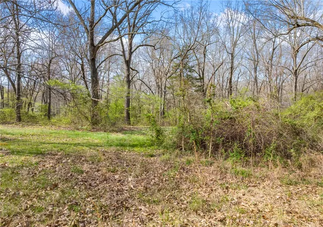 Homes for sale in Harrison, AR | Lot 4 Meriwether Pond, Harrison, AR 72601 | MLS# 1341444