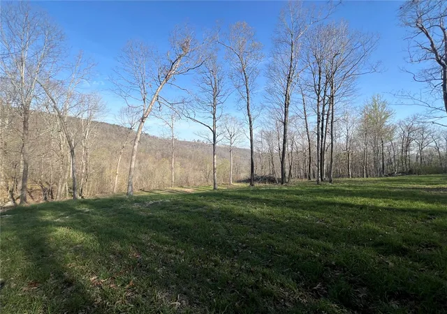 Homes for sale in Jasper, AR | Tbd H Off Ar 7, Jasper, AR 72641 | MLS# 1341282