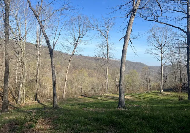 Homes for sale in Jasper, AR | Tbd H Off Ar 7, Jasper, AR 72641 | MLS# 1341282