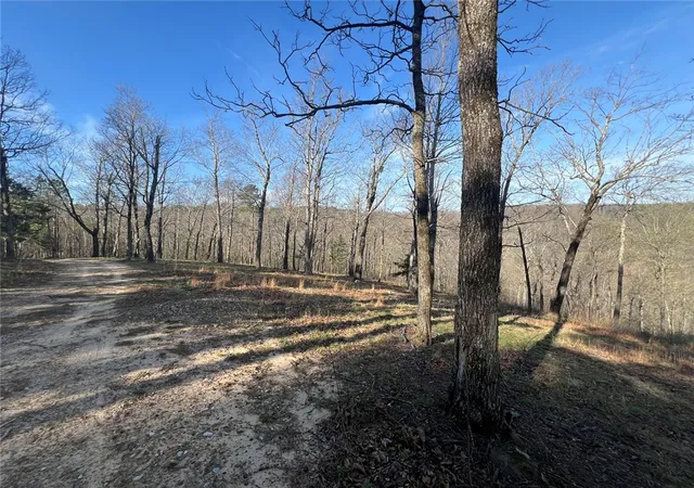 Homes for sale in Jasper, AR | Tbd-I Off Ar 7, Jasper, AR 72641 | MLS# 1341272