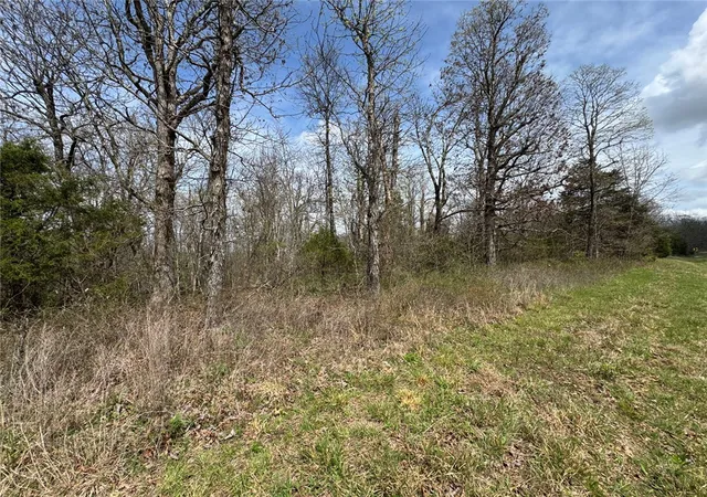 5th image of 000 Hwy 7, Pelsor, AR 72856 | MLS# 1341676