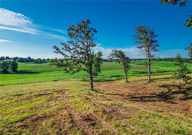 image of Tbd Lot 2 Rutherford, Gentry, AR 72734 | MLS# 1341820