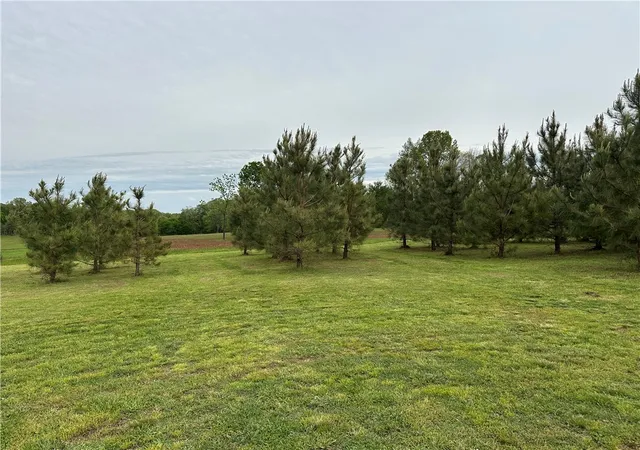 3rd image of Mc 7055, Flippin, AR 72634 | MLS# 1342142