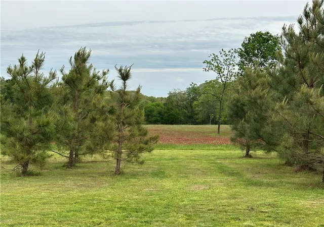 5th image of Mc 7055, Flippin, AR 72634 | MLS# 1342142
