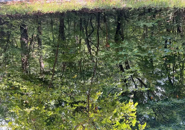 Photo 1 of Land for sale at 89 Sunrise Ave, Holiday Island, AR 72631 | MLS# 1342310 | Listing updated on 2026-04-09