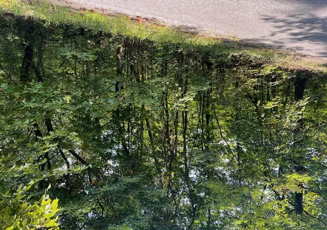 Photo 2 of Land for sale at 89 Sunrise Ave, Holiday Island, AR 72631 | MLS# 1342310 | Listing updated on 2026-04-09