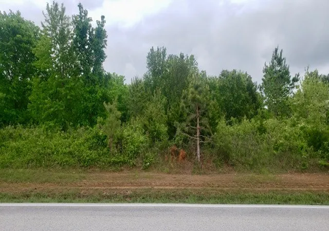 3rd image of N N Lincoln St, Siloam Springs, AR 72761 | MLS# 1342562