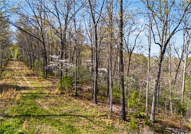 Homes for sale in Rogers, AR | Appaloosa Dr, Rogers, AR 72756 | MLS# 1342561