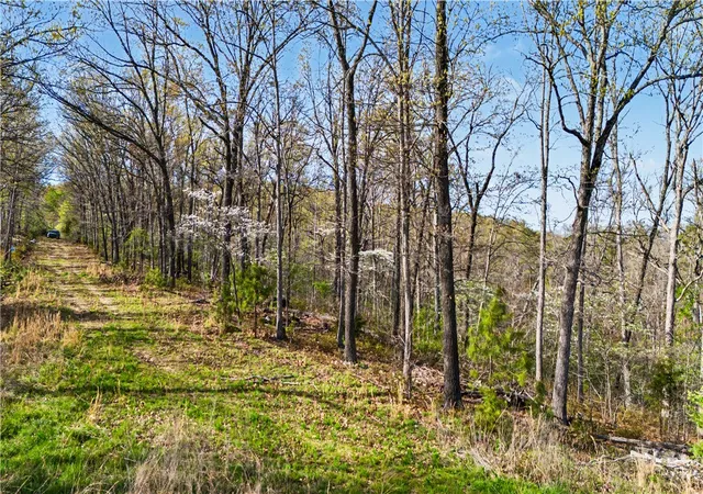 Homes for sale in Rogers, AR | Appaloosa Dr, Rogers, AR 72756 | MLS# 1342561