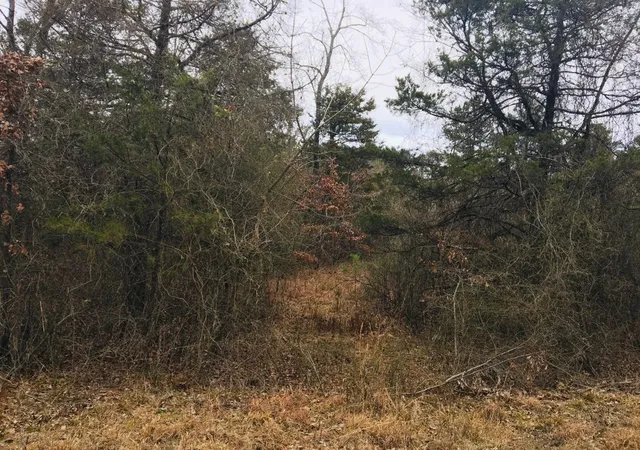 1st image of 89 Eagles Nest, London, AR 72847 | MLS# 1342623