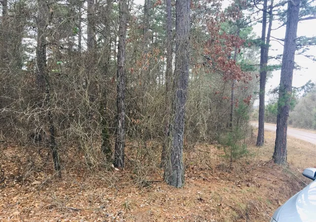1st image of 95 Eagles Nest, Cr 1788, London, AR 72847 | MLS# 1342624