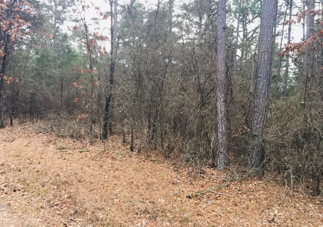2nd image of 95 Eagles Nest, Cr 1788, London, AR 72847 | MLS# 1342624