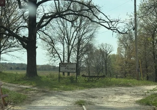 1st image of 245 Hay Meadow Ln, Yellville, AR 72687 | MLS# 1342688
