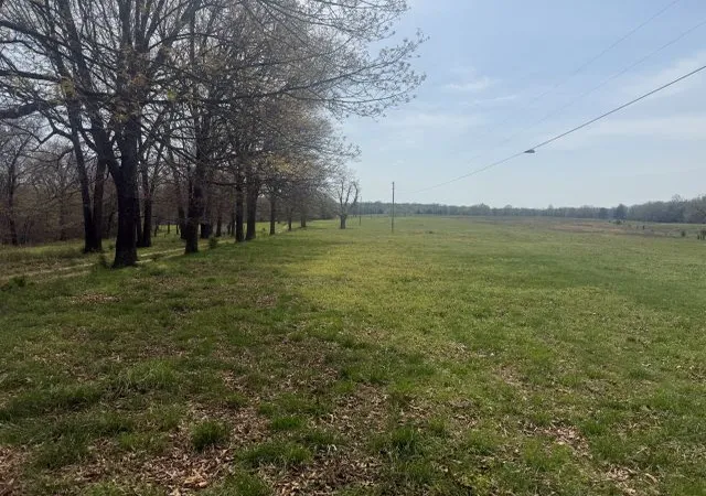 4th image of 245 Hay Meadow Ln, Yellville, AR 72687 | MLS# 1342688