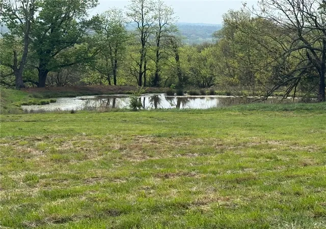 3rd image of Tract A Old Cincinnati Rd, Lincoln, AR 72744 | MLS# 1342729