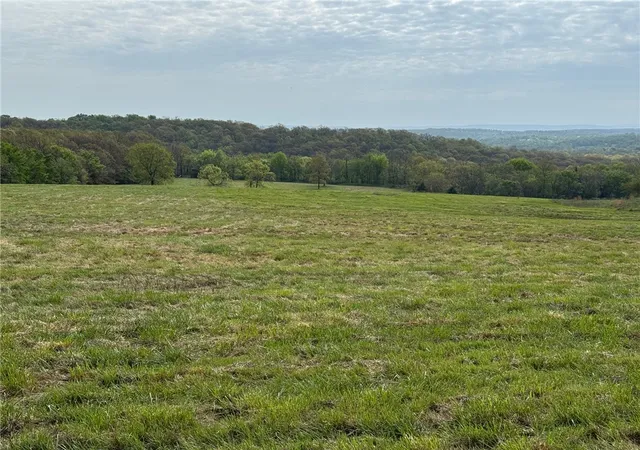4th image of Tract A Old Cincinnati Rd, Lincoln, AR 72744 | MLS# 1342729