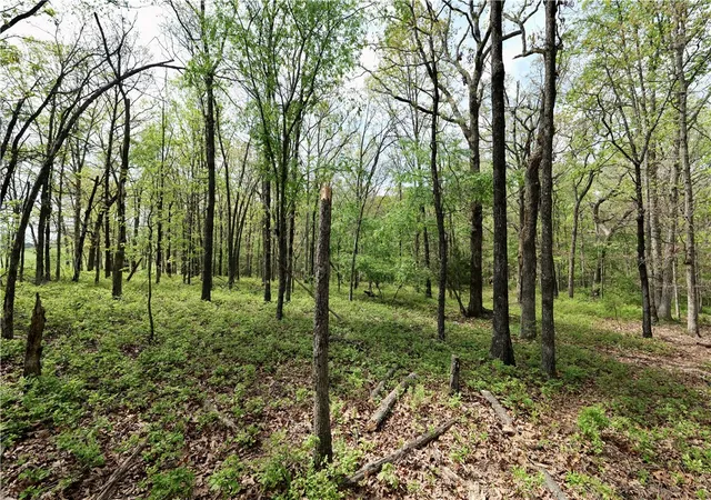 2nd image of Tbd Hummingbird Rd, Gravette, AR 72736 | MLS# 1342640