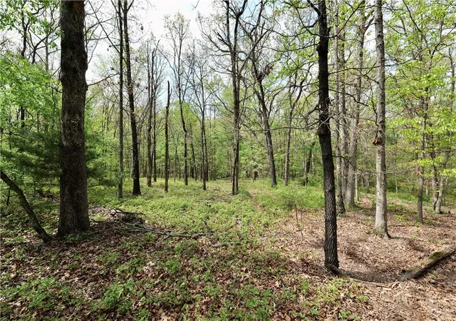 3rd image of Tbd Hummingbird Rd, Gravette, AR 72736 | MLS# 1342640