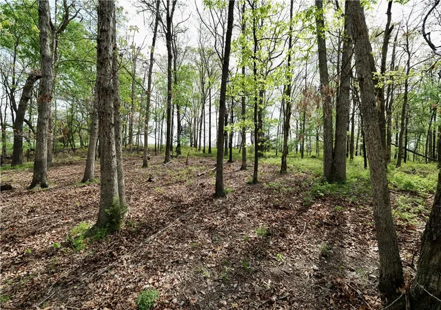 4th image of Tbd Hummingbird Rd, Gravette, AR 72736 | MLS# 1342640