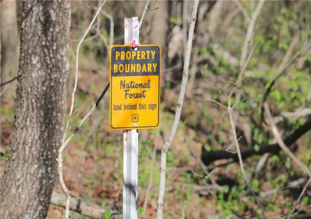 60th image of 4995 Hwy 21, Ozone, AR 72854 | MLS# 1342830