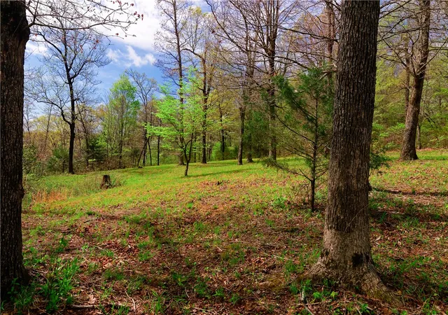 2nd image of 14240 Truelove Rd, West Fork, AR 72774 | MLS# 1342958