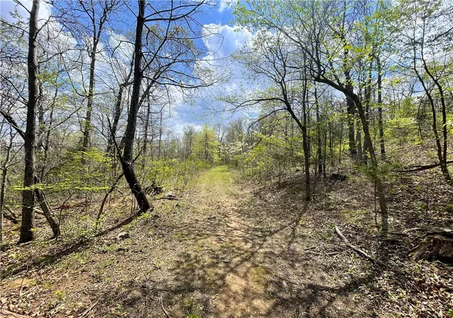 Homes for sale in West Fork, AR | 14240 Truelove Rd, West Fork, AR 72774 | MLS# 1342958