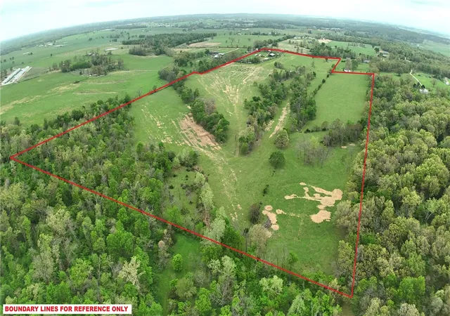 image of 13161 Reams Rd, Gentry, AR 72734 | MLS# 1342188