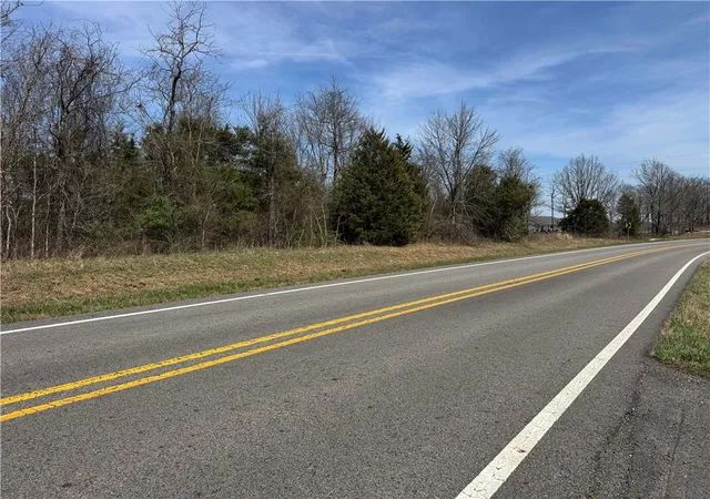 Homes for sale in Pelsor, AR | Tbd2 Ar 7, Pelsor, AR 72856 | MLS# 1343118