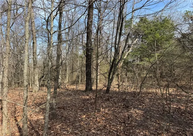4th image of Tbd2 Ar 7, Pelsor, AR 72856 | MLS# 1343118