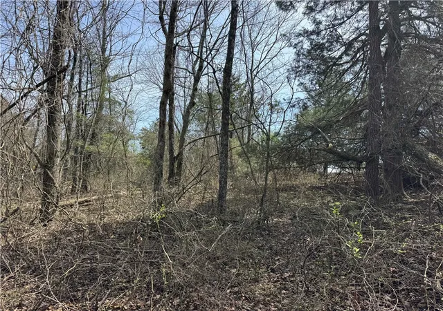 5th image of Tbd2 Ar 7, Pelsor, AR 72856 | MLS# 1343118