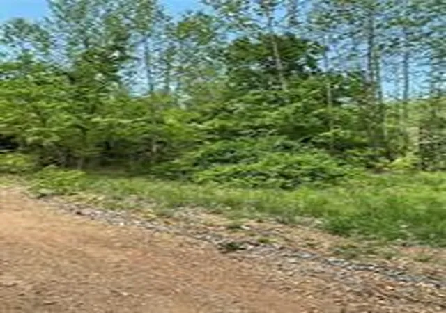 Photo 1 of Land for sale at Arabian Dr, Rogers, AR 72756 | MLS# 1343096 | Listing updated on 2026-09-28