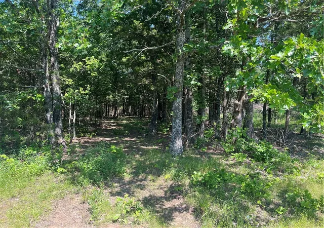 1st image of Madison County Road 6124, Elkins, AR 72727 | MLS# 1343289