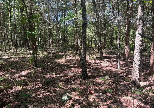 26th image of Madison County Road 6124, Elkins, AR 72727 | MLS# 1343289