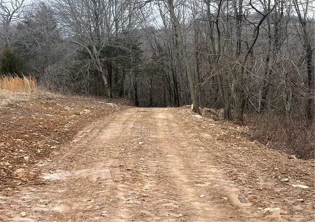 2nd image of Madison County Road 6124, Elkins, AR 72727 | MLS# 1343289