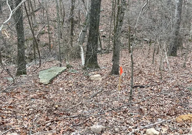 4th image of Madison County Road 6124, Elkins, AR 72727 | MLS# 1343289